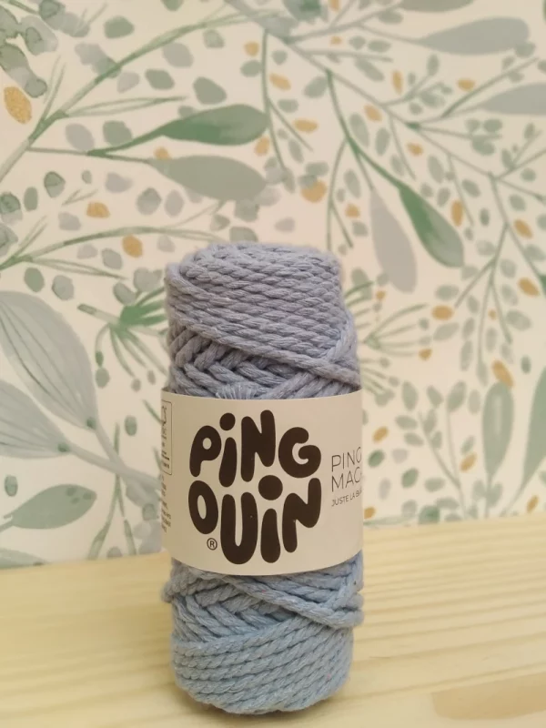 Fil macrame pingouin ciel