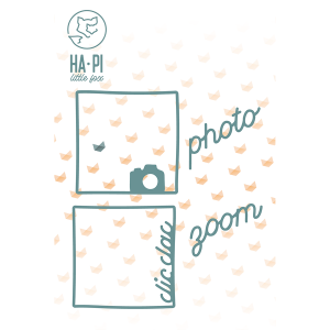 dies-ré-la-blanche-cadres-délicats-scrapbooking-ancenis