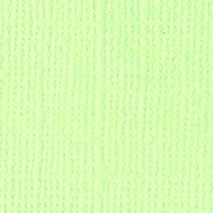 papier-scrapbooking-bazzill-aloe-vera-belligné